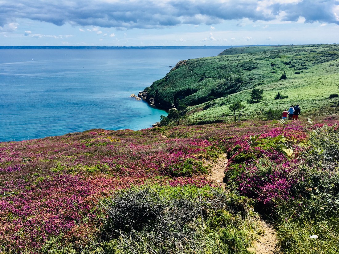 104E1B29-F3D0-4654-B224-2ECBBF7A8EE3