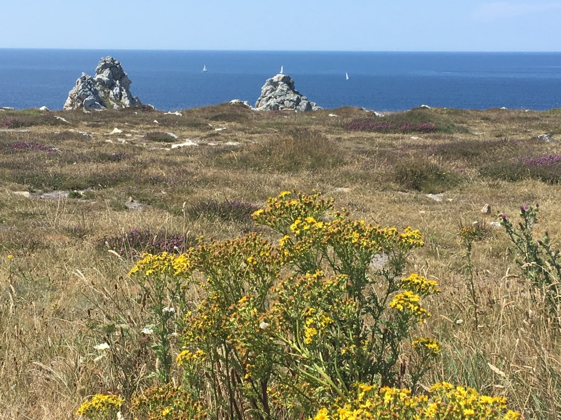 52A5FDDA-67EF-4232-8298-DD39FA1C16B7