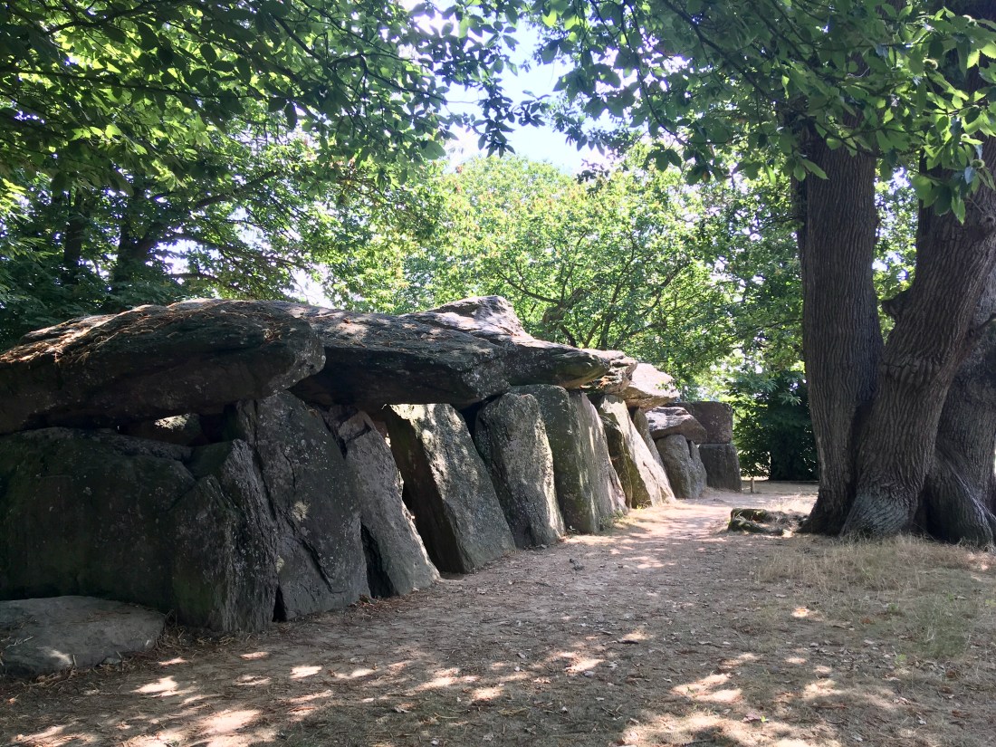 DA307C36-6E13-48DF-8D06-E0C5F1D0B4AB