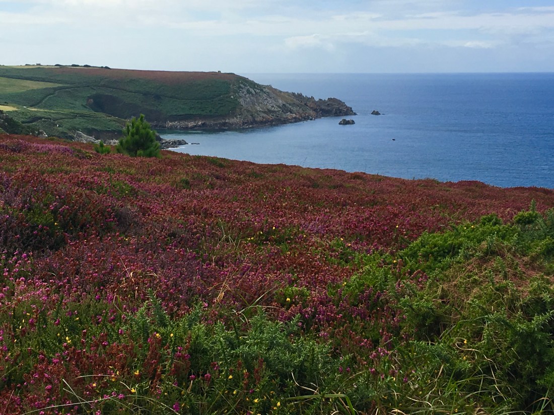 2F5E54FF-69B8-4E31-B2DE-FE161948D476